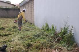 Limpeza Geral Casa Médio Padrão